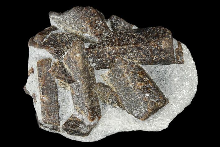 Twinned Staurolite Cross In Mica-Schist - Pestsovye Keivy, Russia #175772